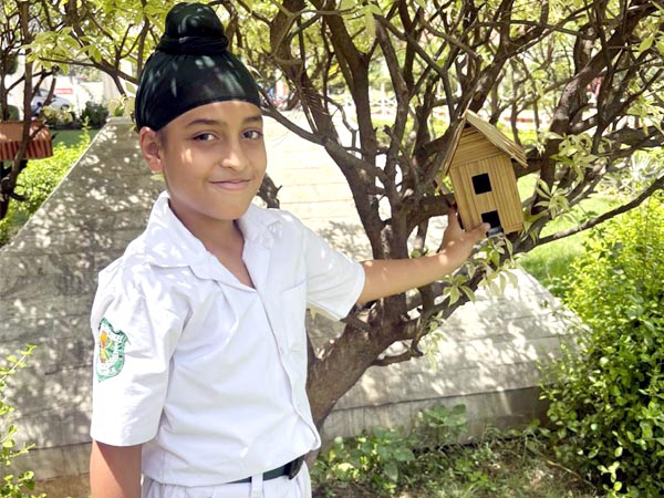Bird House Activity